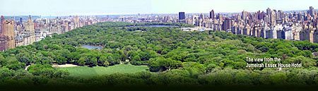 Pohled na Central Park č. 2